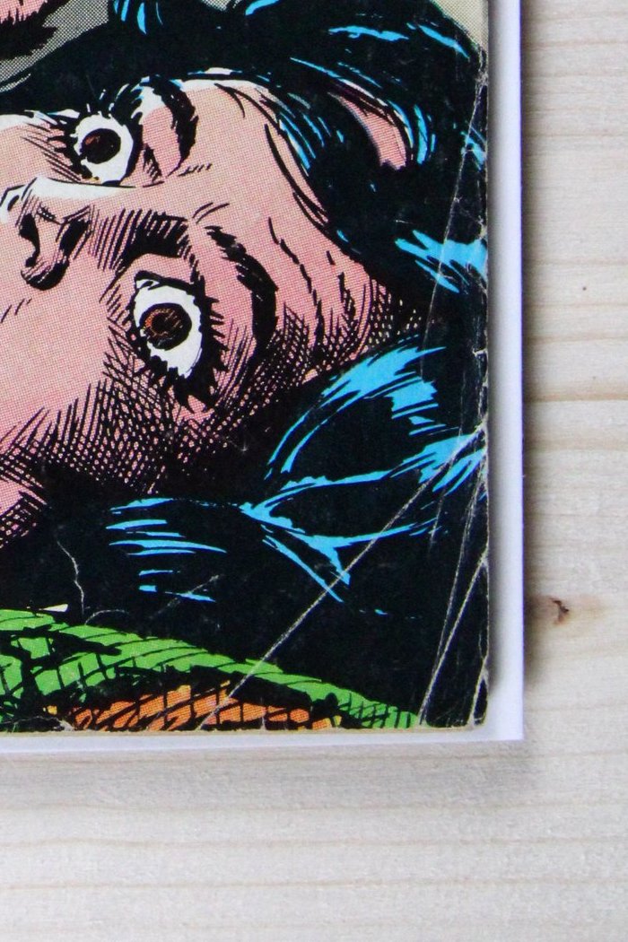 The Phantom Stranger #25 – DC (1973) 4.5 VG+
