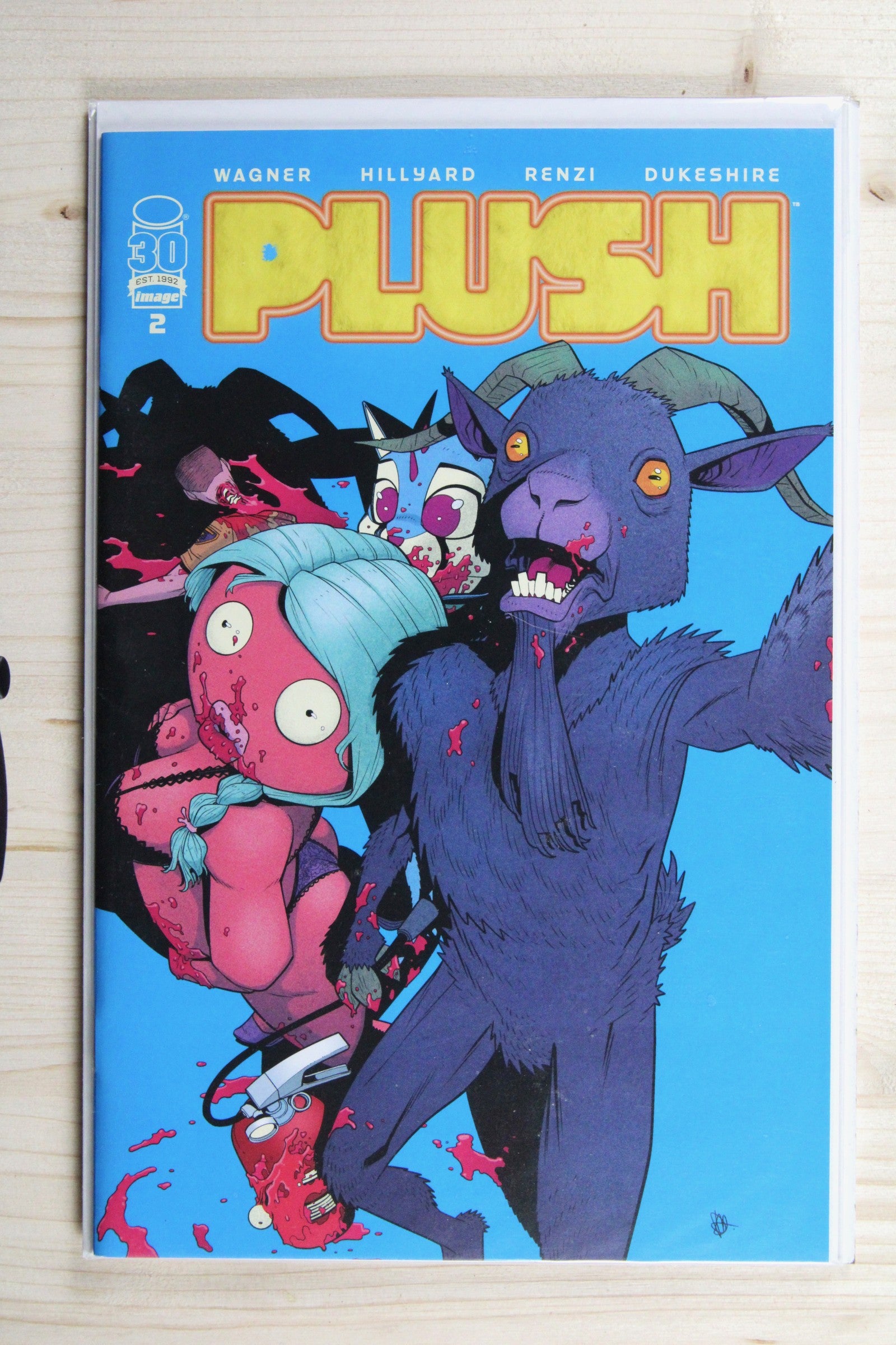 Plush #2 – Image (2022) 9.6 NM+