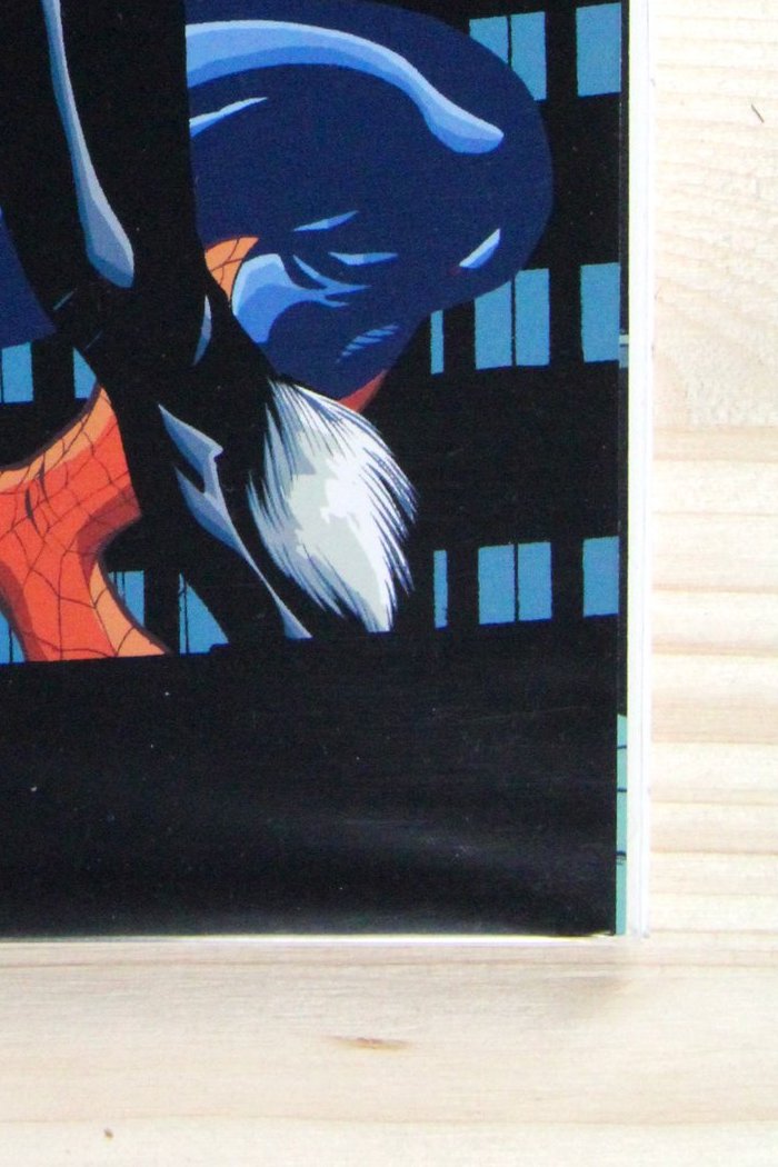 Spider-Man and the Black Cat #3 – Marvel (2005) 9.2 NM-