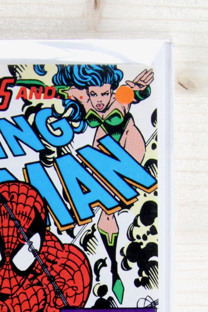 The Amazing Spider-Man #348 – Marvel (1991) 9.4 NM Erik Larsen art