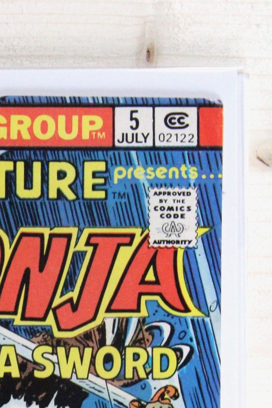 Marvel Feature: Red Sonja #5 – Marvel Comics (1976) 8.0 VF