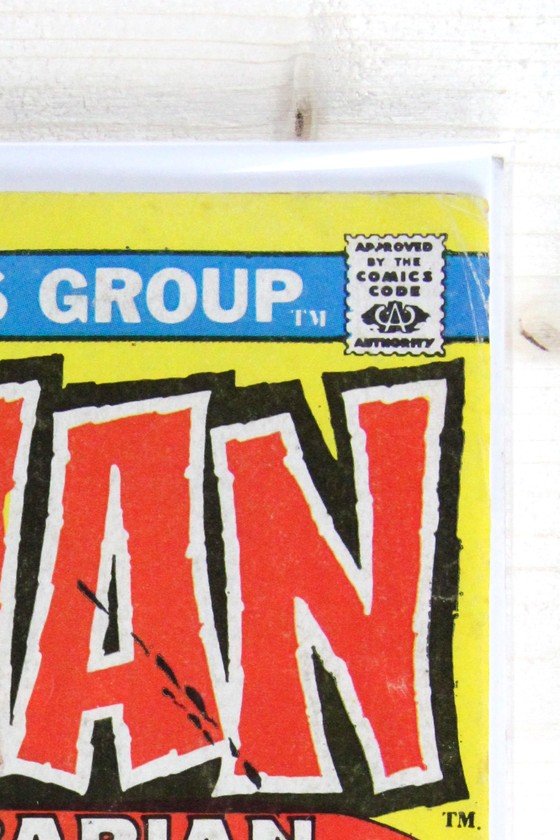 Conan the Barbarian #30 – Marvel (1973) 6.0 FN