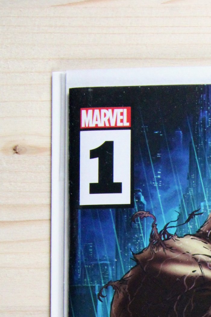 Spider-Man: Reign 2 #1 – Marvel (2024) 9.6 NM+ Kaare Andrews