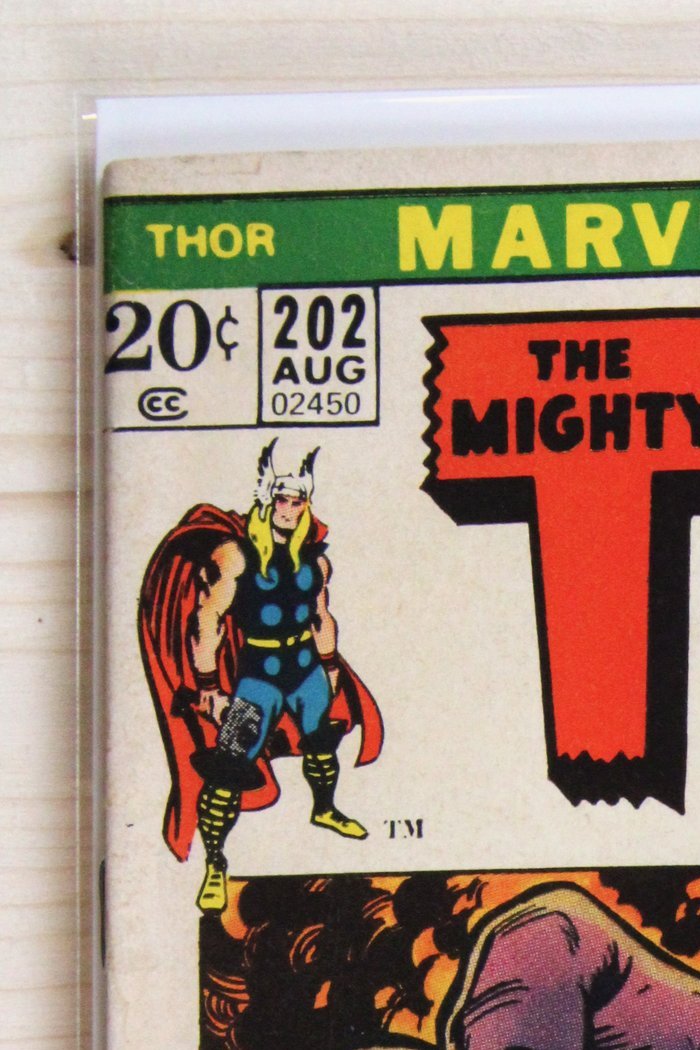 Thor #202 – Marvel (1972) 5.5 FN- Stan Lee