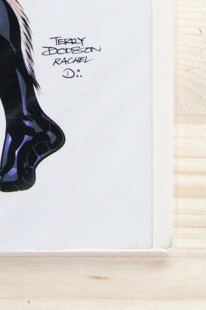 Spider-Man and the Black Cat #1 – Marvel (2005) 9.2 NM-