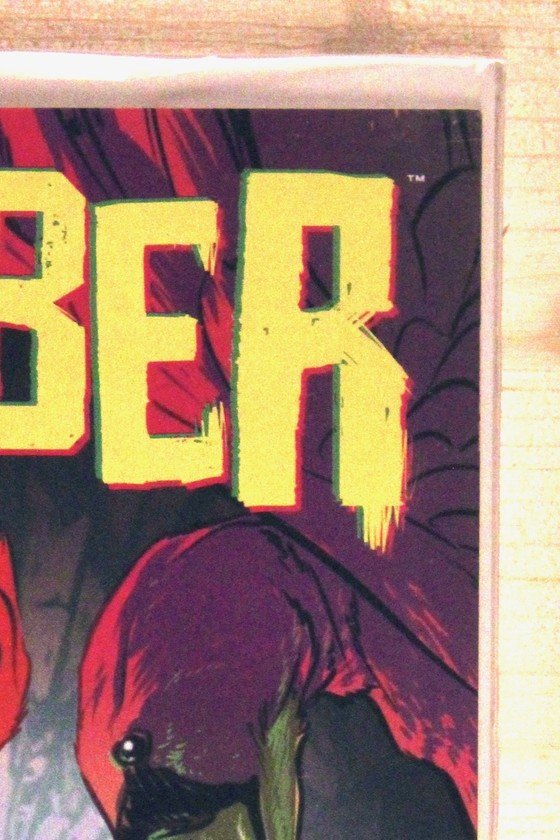 Slumber #4 – Image (2022) 9.6 NM+