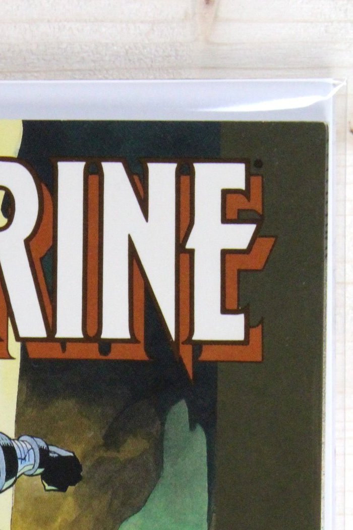 Wolverine: The Jungle Adventure #1 – Marvel (1990) 9.2 NM-