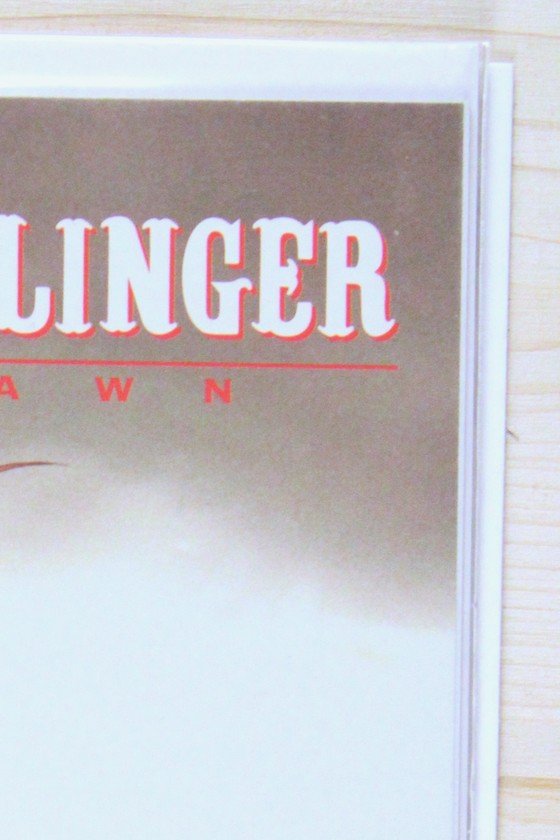 Gunslinger Spawn #9 – Image (2022) 9.6 NM+