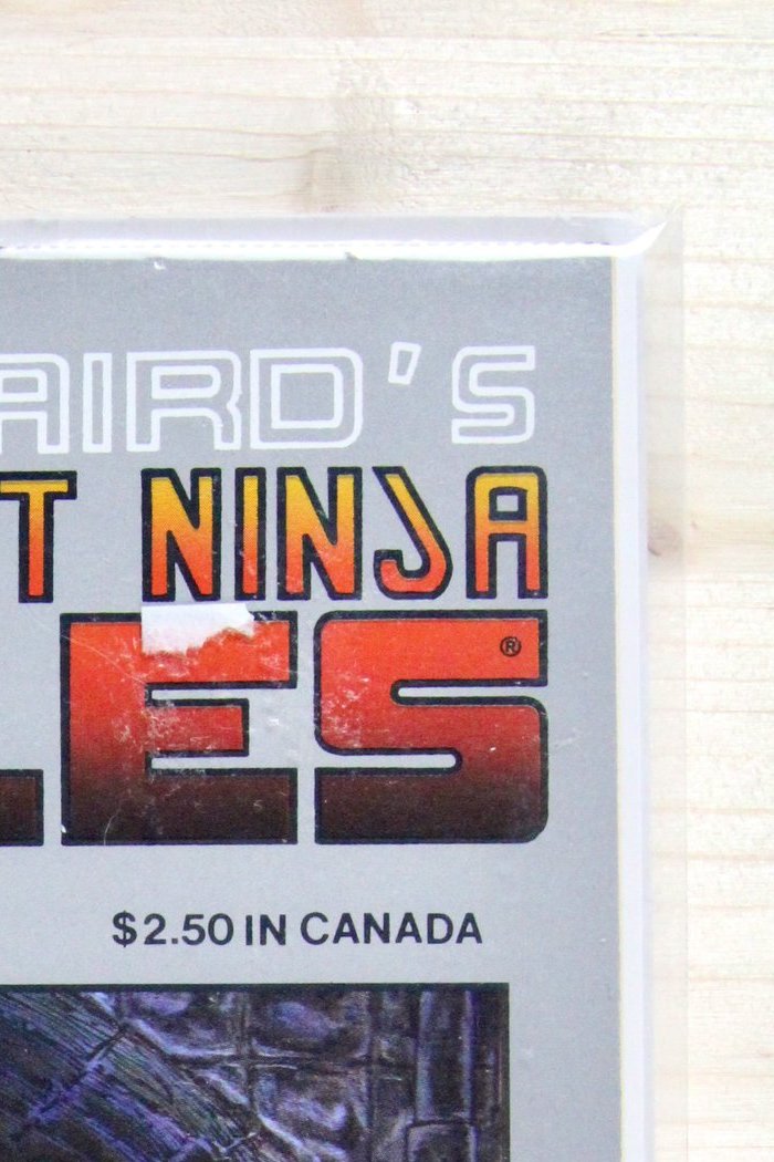 Teenage Mutant Ninja Turtles #19 – Mirage (1989) 9.4 NM Return to New York