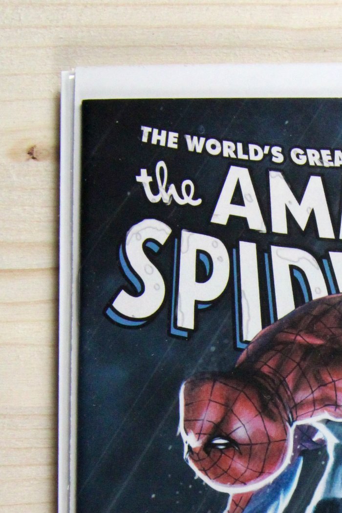 The Amazing Spider-Man #699.1 – Marvel (2013) 9.4 NM Dying Wish