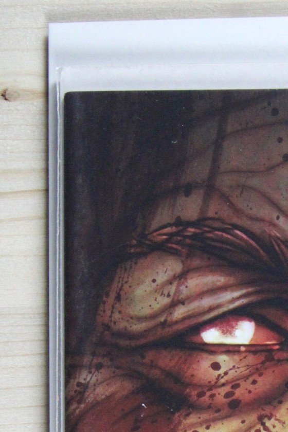 Something is Killing the Children #24 – BOOM! Studios (2022) 9.6 NM+ Frison Die-Cut