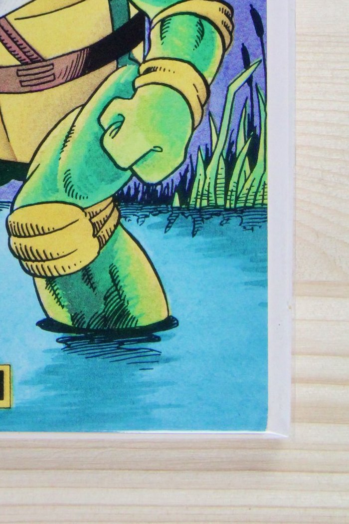 Usagi Yojimbo #10 – Fantagraphics Books (1988) 7.5 VF-