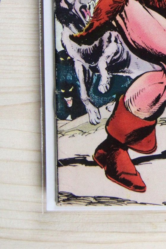 Conan the Barbarian #49 – Marvel (1975) 6.5 FN+ Terry Austin