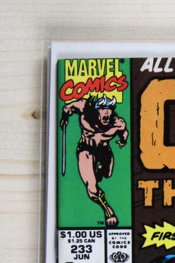 Conan the Barbarian #233 – Marvel (1990) 8.5 VF+ Newsstand Edition