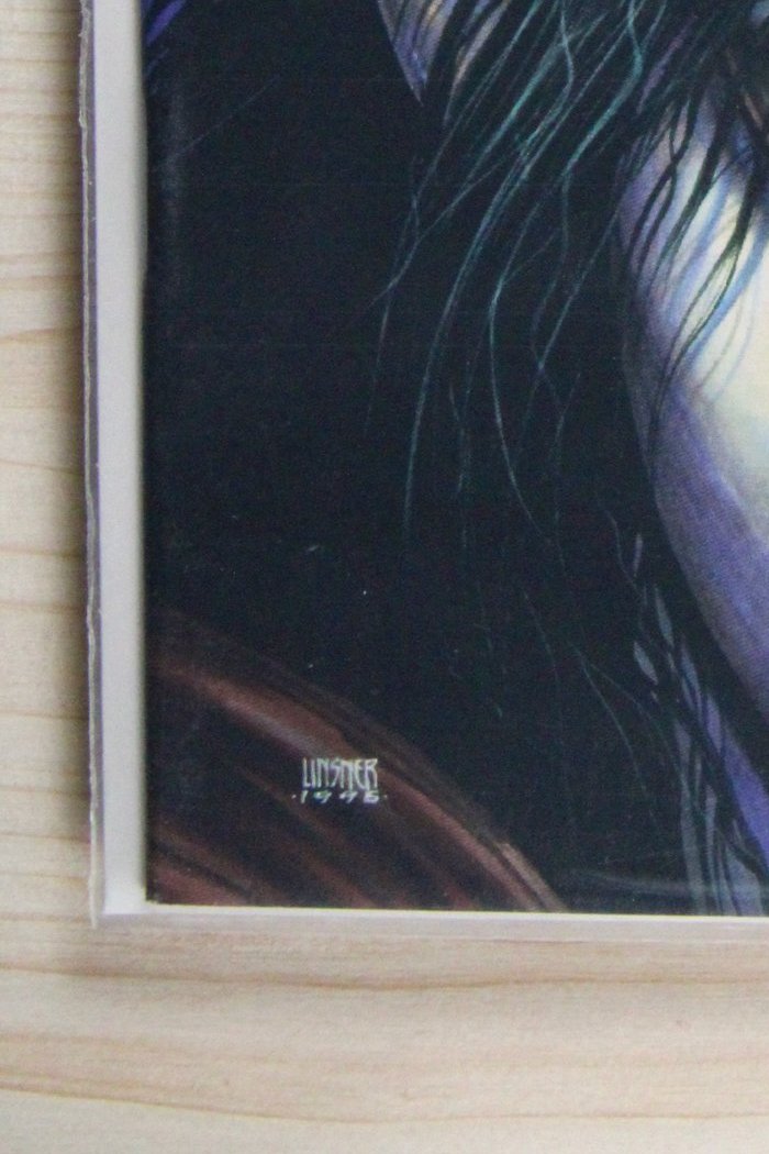 Poison Elves #1 – Sirius Entertainment (1995) 9.2 NM- Sanctuary Book 1: Deathmonks