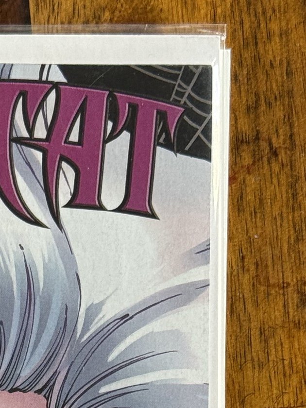 Black Cat #1 Headshot Variant (Hauck) – Marvel (2021) 9.4 NM