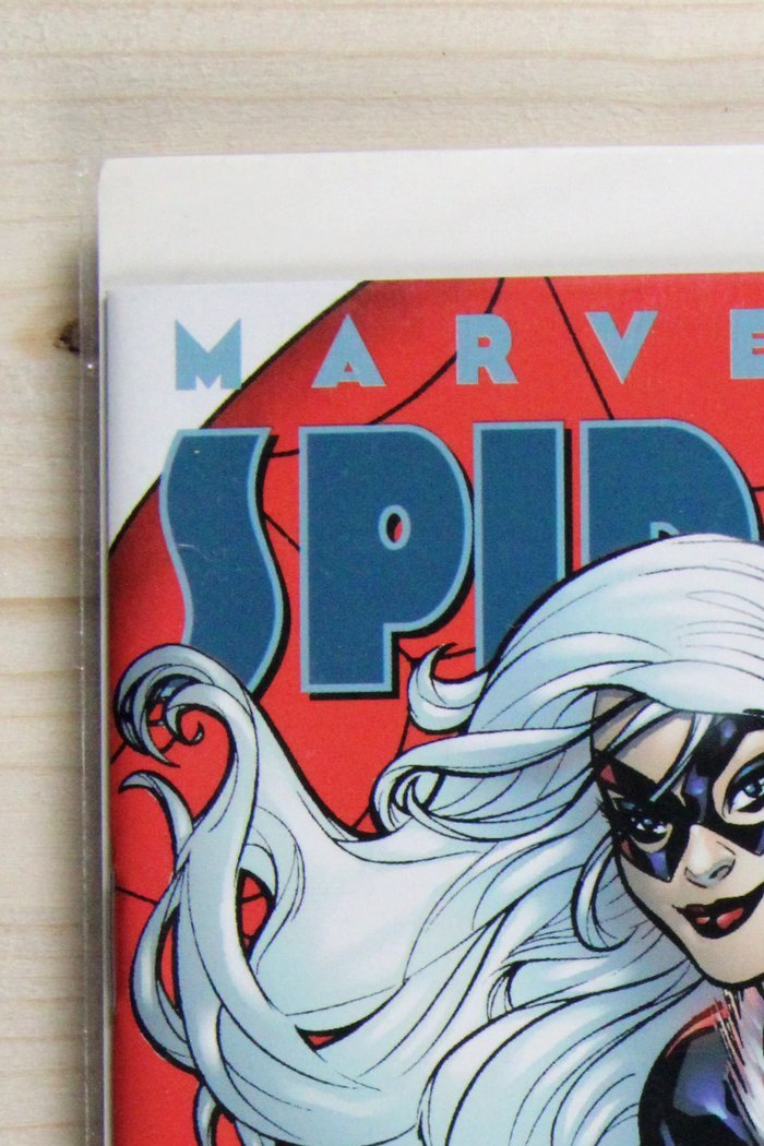 Spider-Man and the Black Cat #1 – Marvel (2005) 9.2 NM-