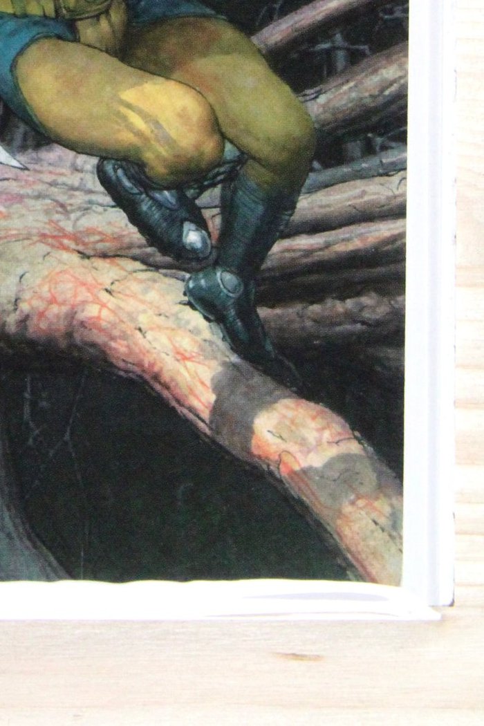 Wolverine: Switchback #1 – Marvel (2009) 8.0 VF