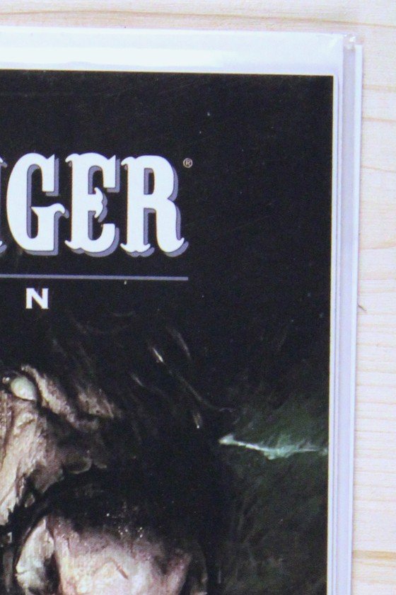 Gunslinger Spawn #11 – Image (2022) 9.6 NM+
