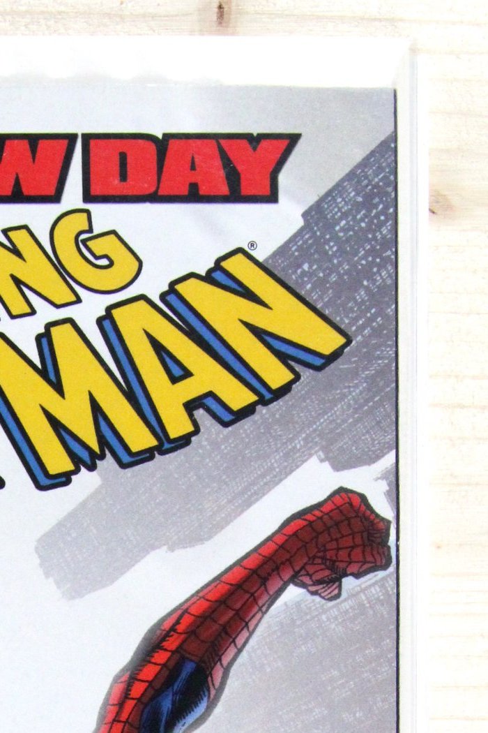 The Amazing Spider-Man #552 – Marvel (2008) 9.4 NM Brand New Day | Direct Edition
