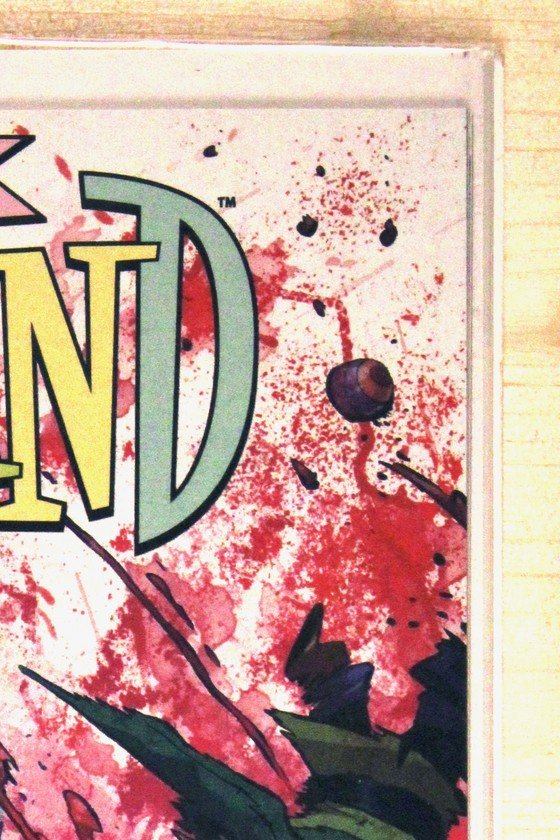 I Hate Fairyland #11 – Image (2023) 9.6 NM+ Bean Variant
