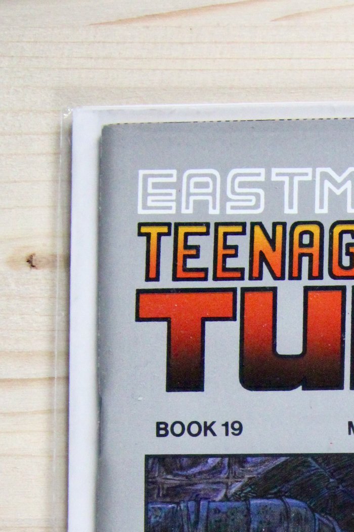 Teenage Mutant Ninja Turtles #19 – Mirage (1989) 9.4 NM Return to New York