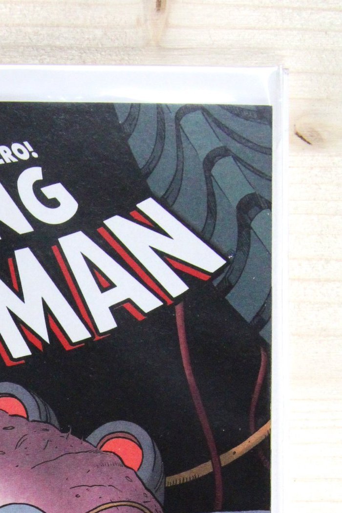 The Amazing Spider-Man #698 – Marvel (2013) 9.4 NM Dying Wish