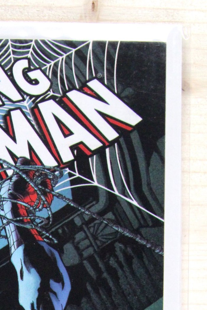 The Amazing Spider-Man #592 – Marvel (2009) 9.4 NM 24/7