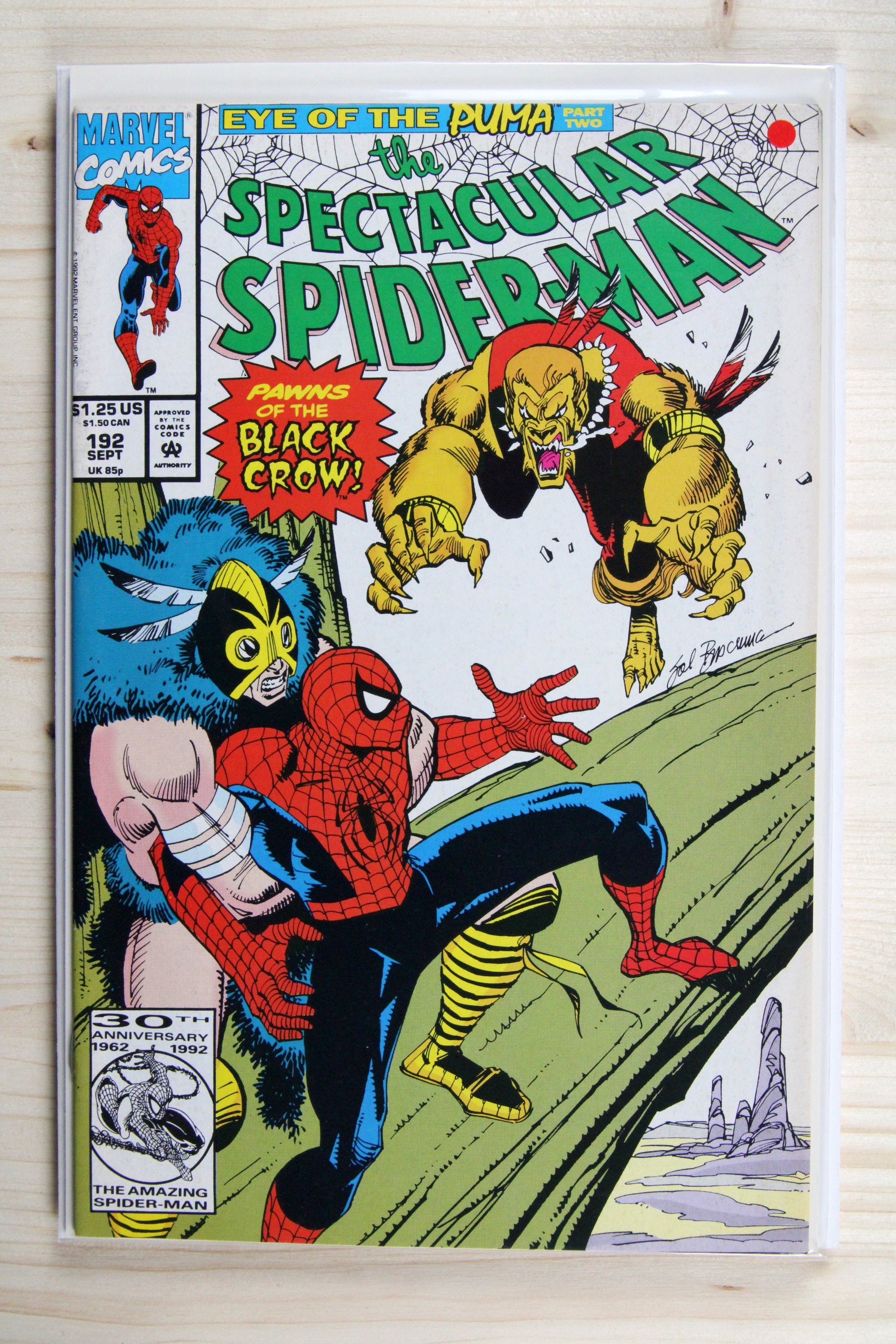 The Spectacular Spider-Man #192 – Marvel (1992) 9.2 NM-
