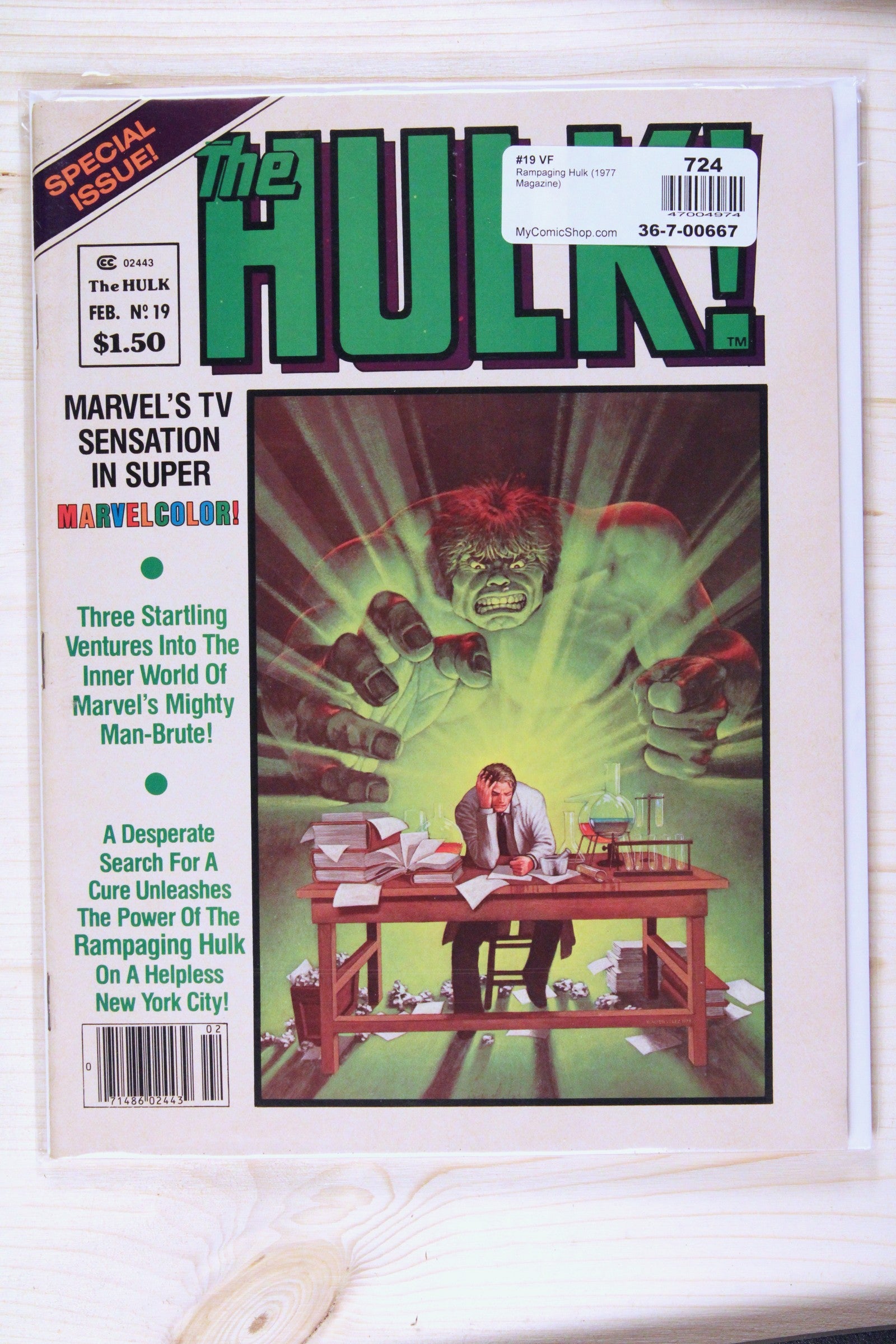 The Hulk! #19 – Marvel (1980) 9.4 NM Special Issue; Magazine format (Rampaging Hulk 1977 Magazine series)