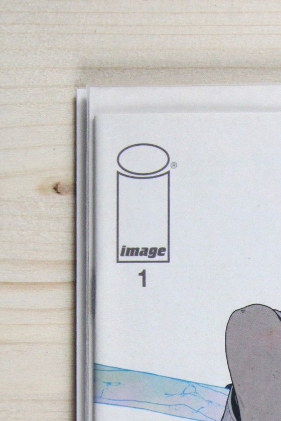 Rain #1 – Image (2022) 9.6 NM+ Promotional Ashcan