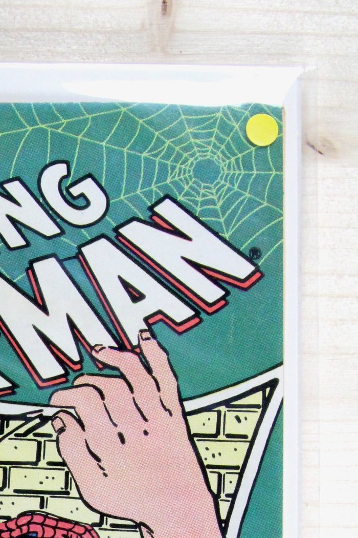 The Amazing Spider-Man #248 – Marvel (1984) 9.0 VF/NM Terry Austin | Newsstand