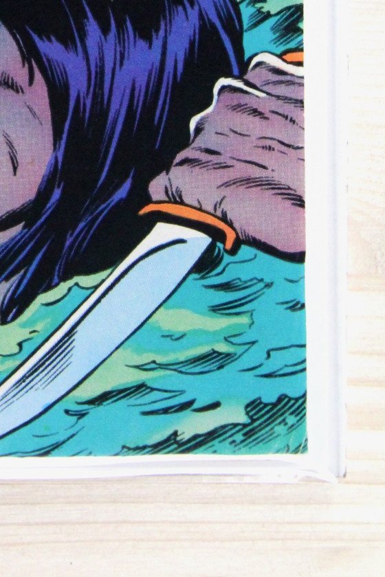 Conan the Barbarian #98 – Marvel (1979) 7.5 VF- Newsstand Edition