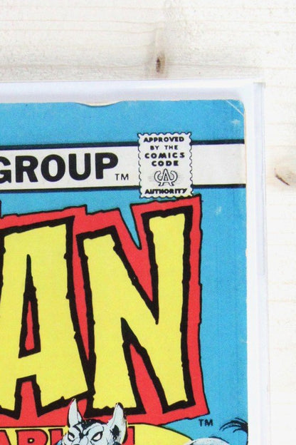 Conan the Barbarian #49 – Marvel (1975) 6.5 FN+ Terry Austin