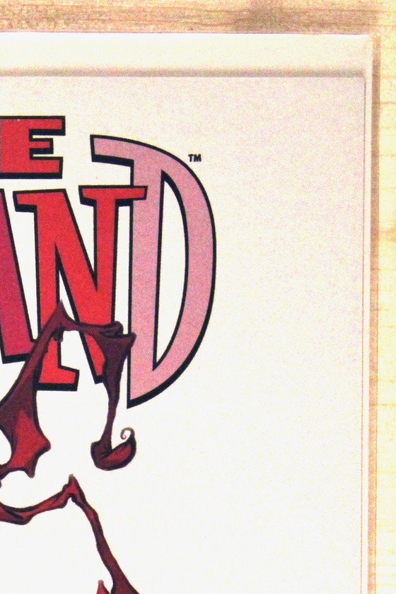 I Hate Fairyland #2 – Image (2022) 9.6 NM+ Erik Larsen cover | Skottie Young Spawn Variant