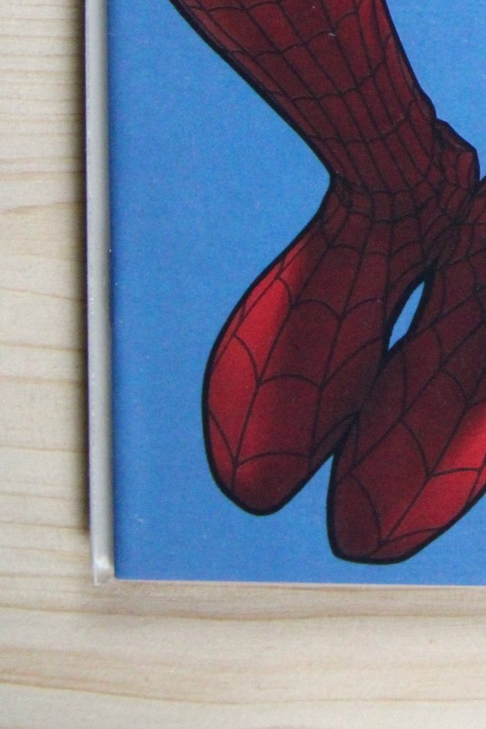 The Amazing Spider-Man #679.1 – Marvel (2012) 9.4 NM