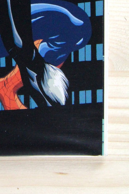 Spider-Man and the Black Cat #3 – Marvel (2005) 9.2 NM-