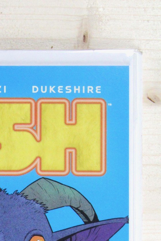 Plush #2 – Image (2022) 9.6 NM+