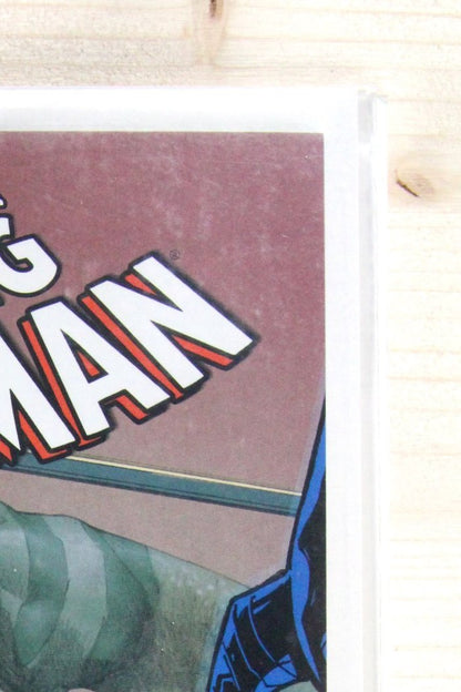 The Amazing Spider-Man #676 – Marvel (2012) 9.4 NM