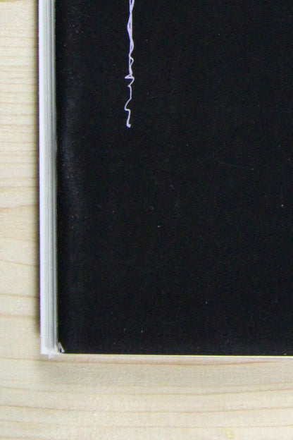 Superior Spider-Man #1 – Marvel (2024) 9.6 NM+ Skottie Young