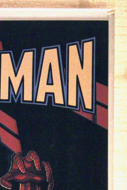 Spider-Man #11 – Marvel (2022) 9.6 NM+ Todd McFarlane story