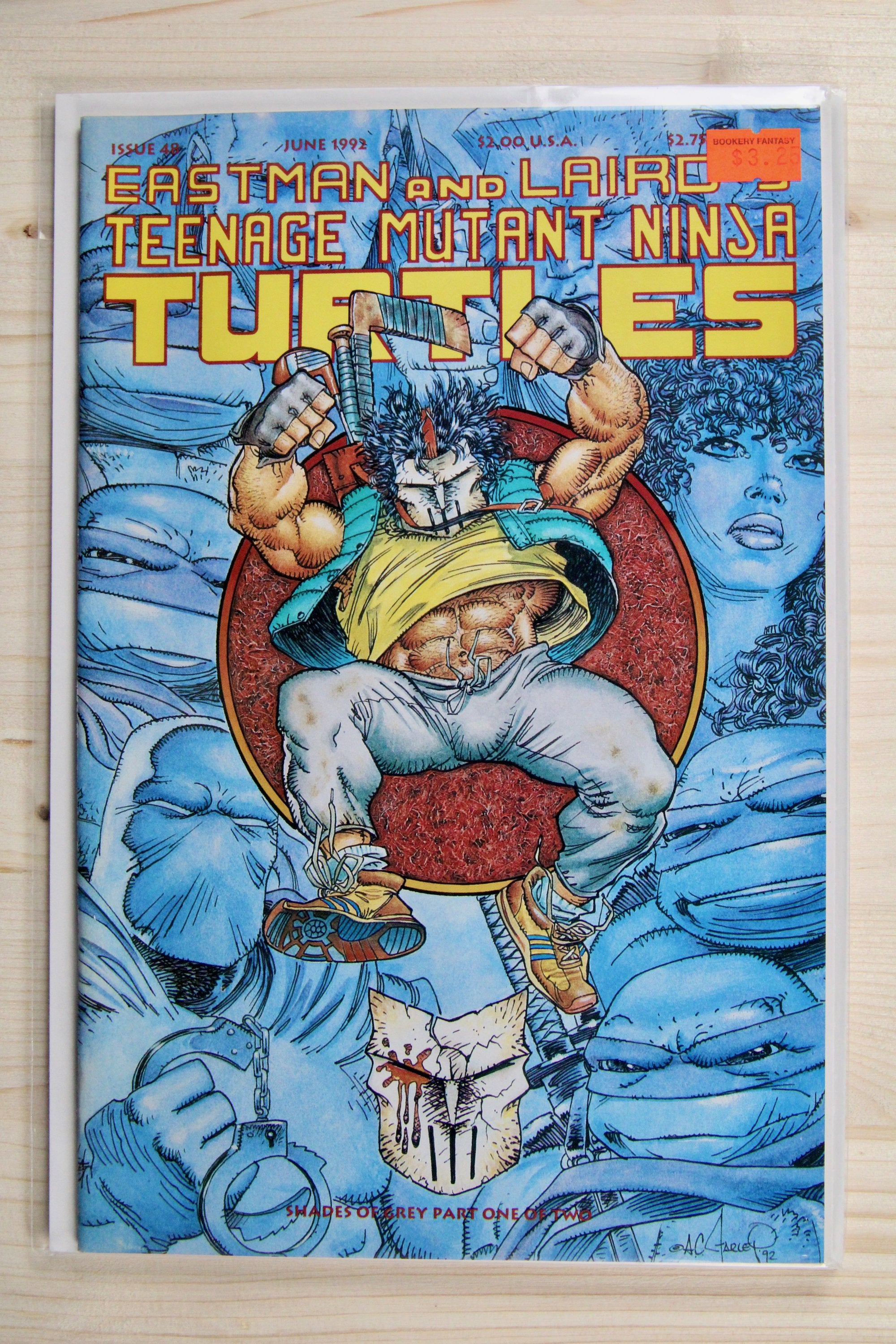 Teenage Mutant Ninja Turtles #21 – Mirage (1989) 9.4 NM Return to New York