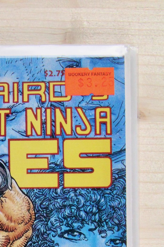 Teenage Mutant Ninja Turtles #21 – Mirage (1989) 9.4 NM Return to New York
