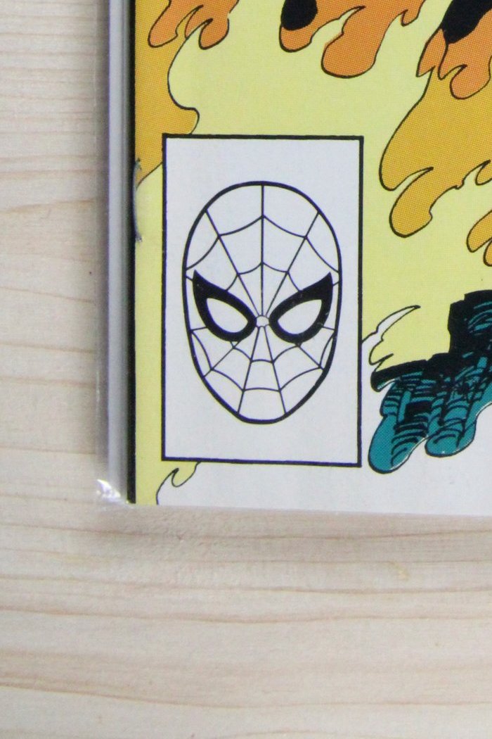 The Spectacular Spider-Man #171 – Marvel (1990) 9.2 NM-