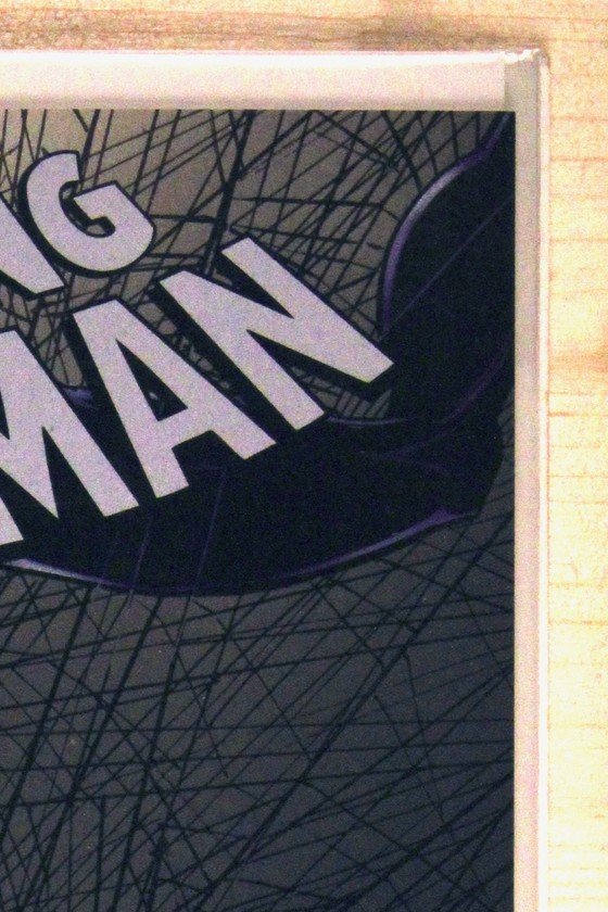 The Amazing Spider-Man #33 – Marvel (2020) 9.6 NM+ Patrick Gleason art