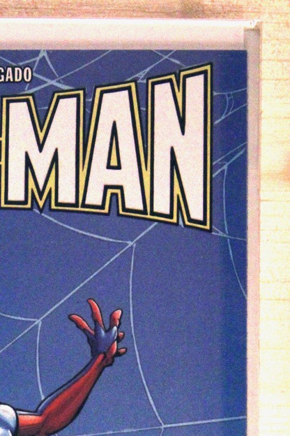 Spider-Man #11 – Marvel (2023) 9.6 NM+ Todd McFarlane story | Marvel Remembers John Romita Variant