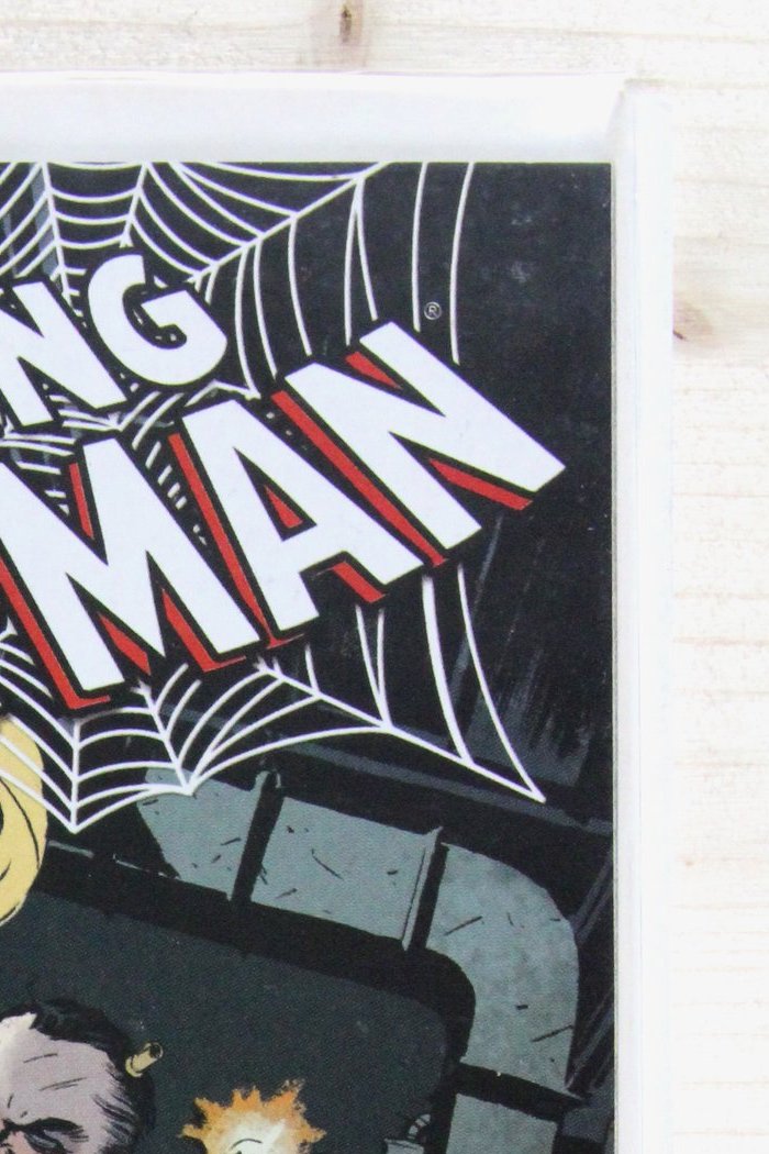 The Amazing Spider-Man #577 – Marvel (2009) 9.4 NM