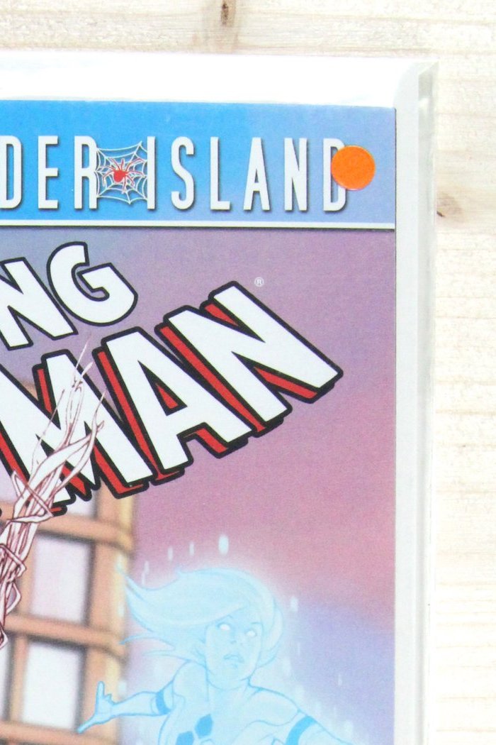 The Amazing Spider-Man #660 – Marvel (2011) 9.4 NM Spider-Island