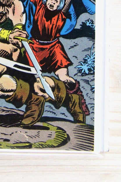 Conan the Barbarian #113 – Marvel (1980) 8.0 VF Newsstand Edition