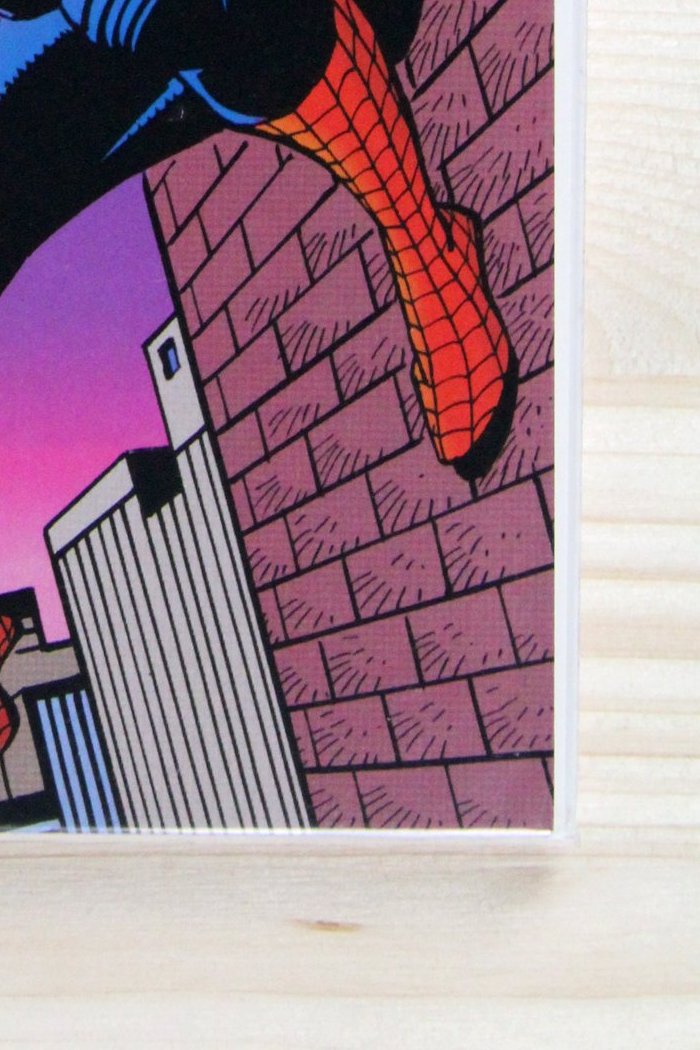The Spectacular Spider-Man #204 – Marvel (1993) 9.2 NM- Death by Tombstone